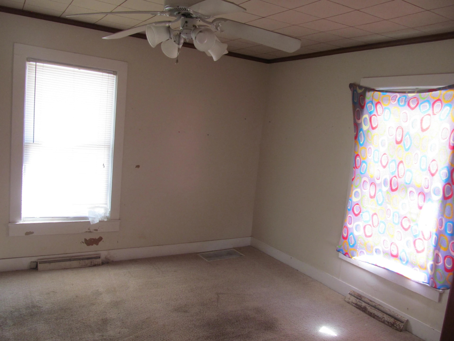 5209 Lee Highway - Photo 4