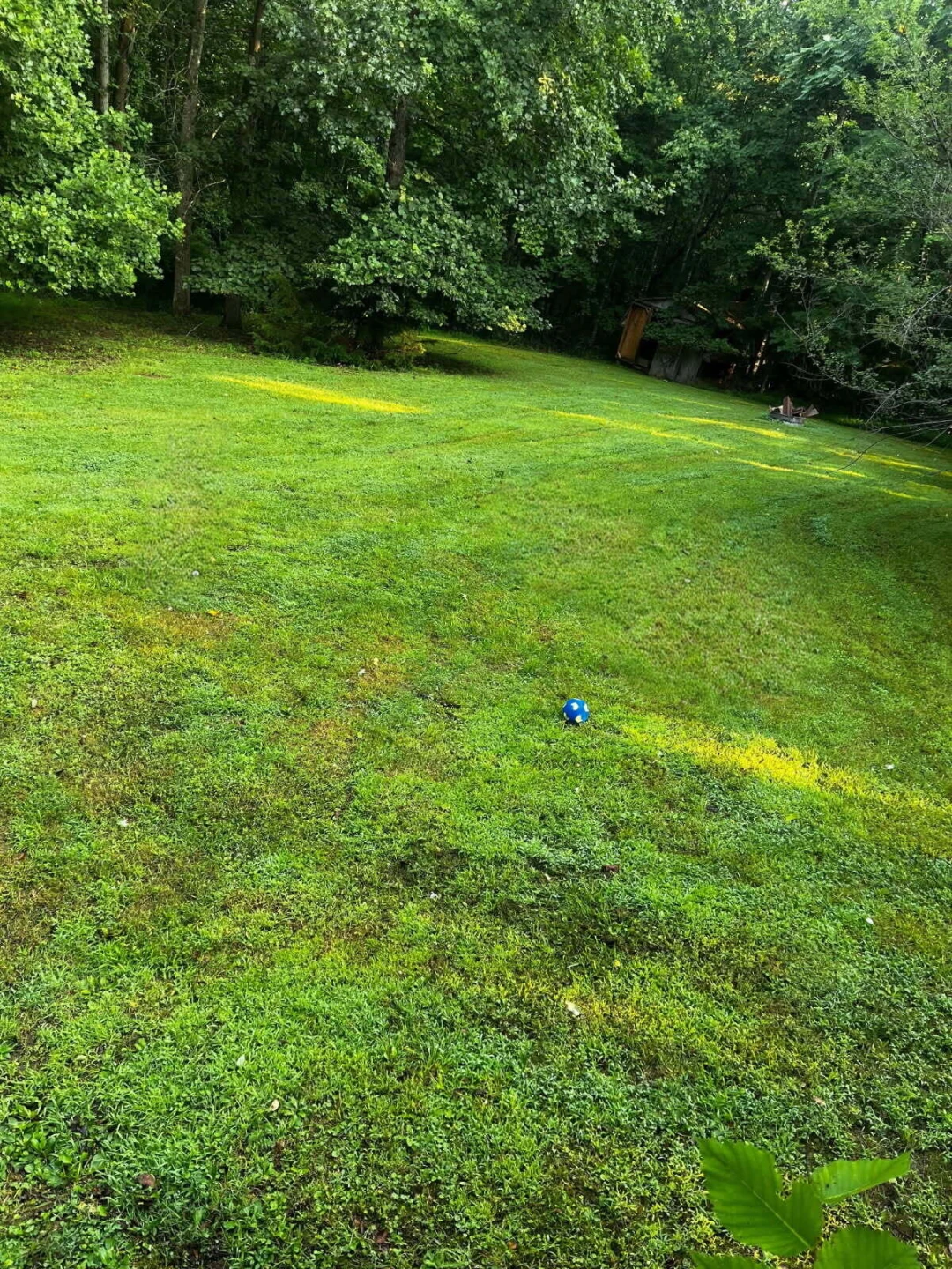 2579 Quarles RD - Photo 45