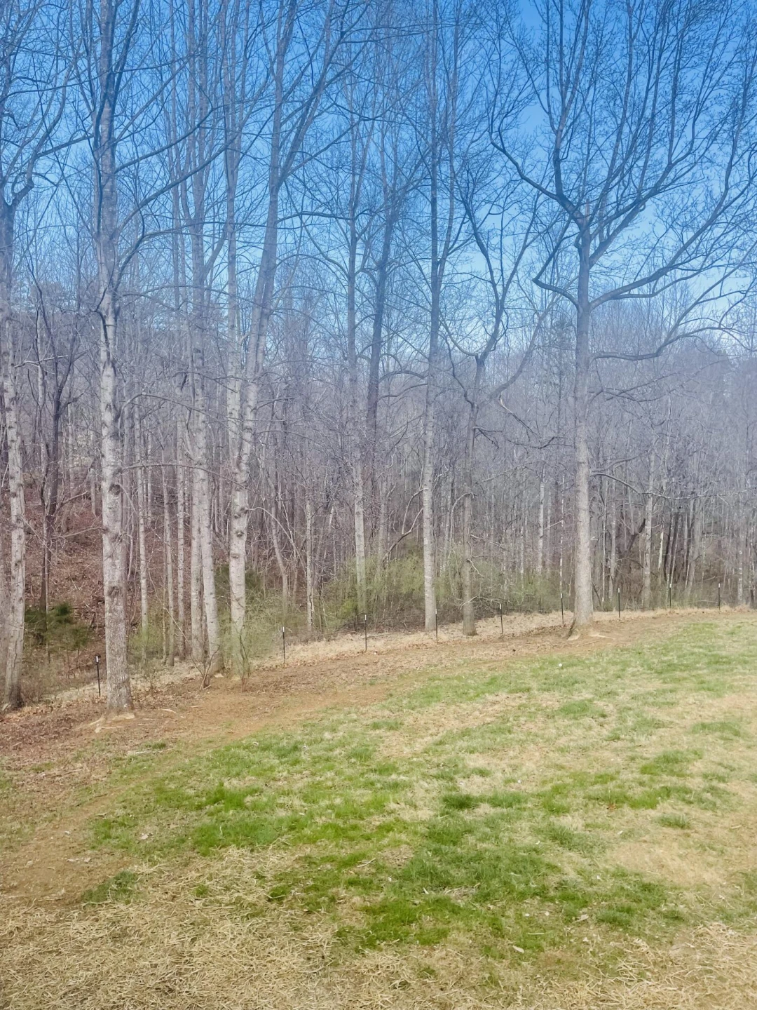 2579 Quarles RD - Photo 58