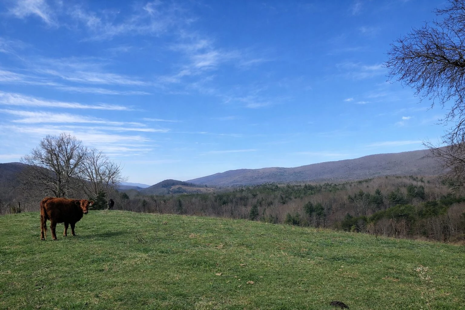 0000 Wolfe RD