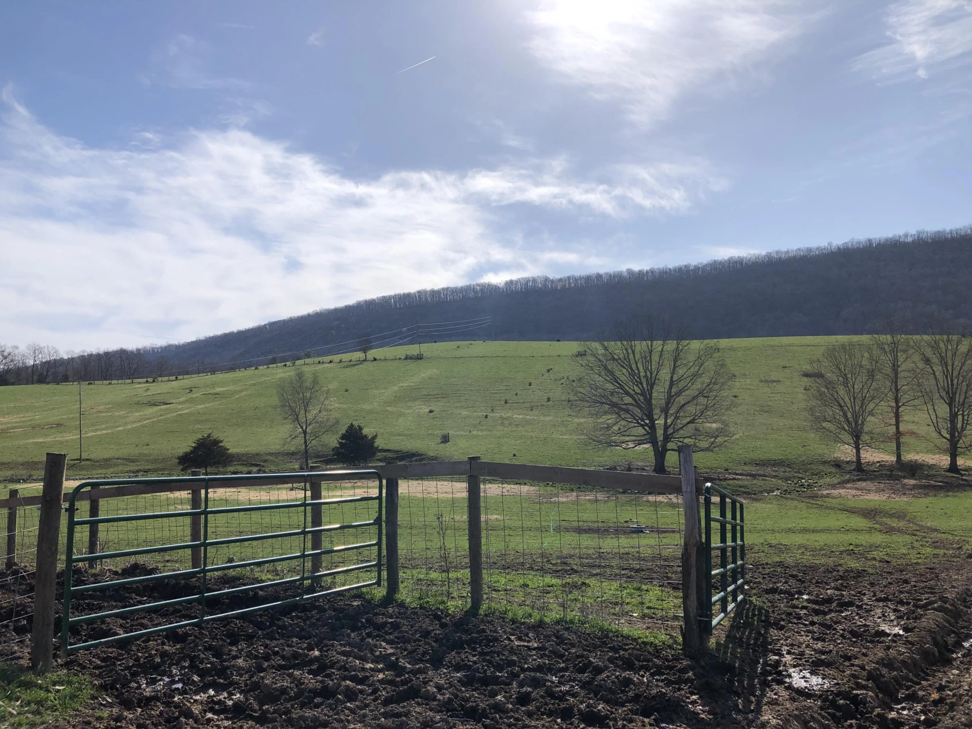 0000 Wolfe RD - Photo 10