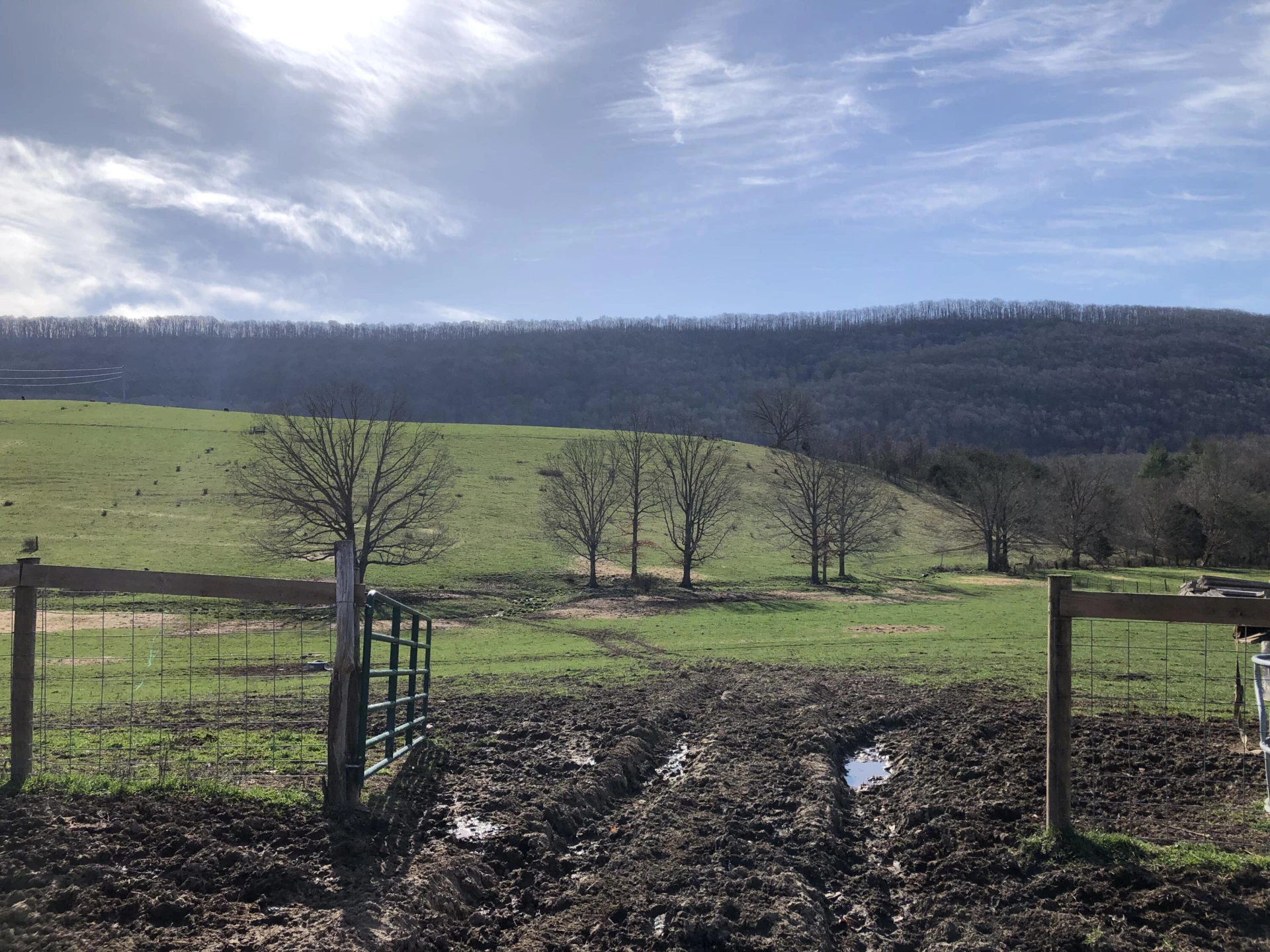 0000 Wolfe RD - Photo 11