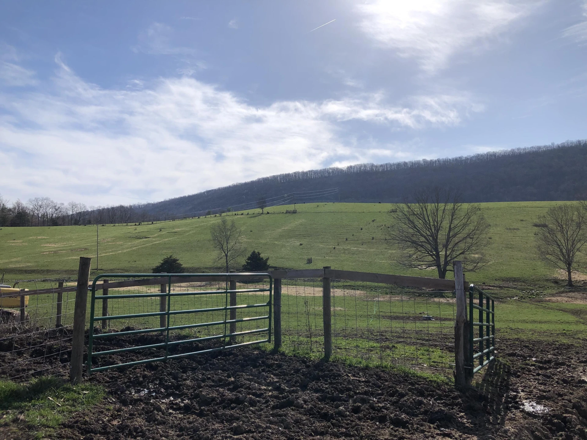 0000 Wolfe RD - Photo 12