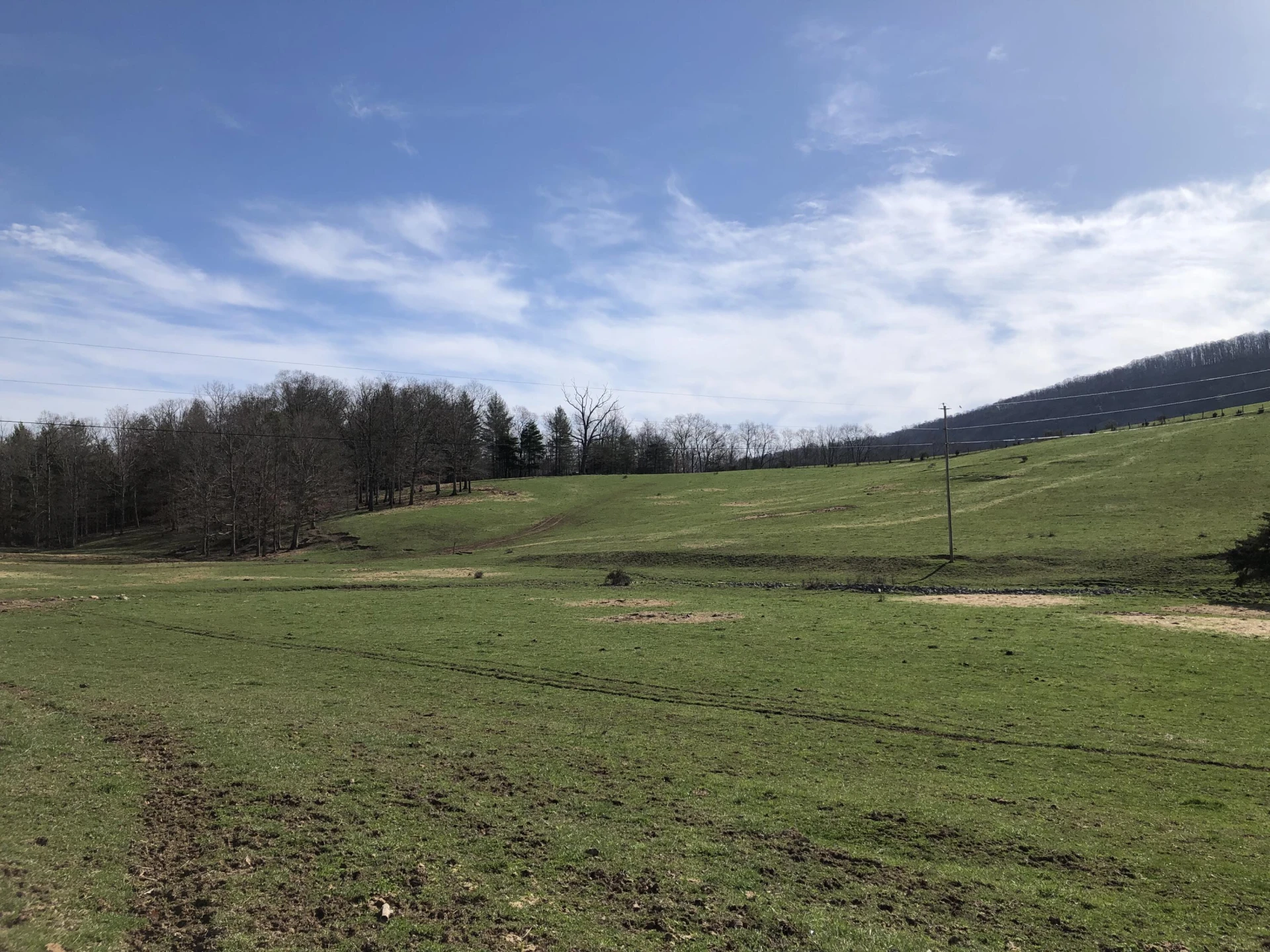 0000 Wolfe RD - Photo 16