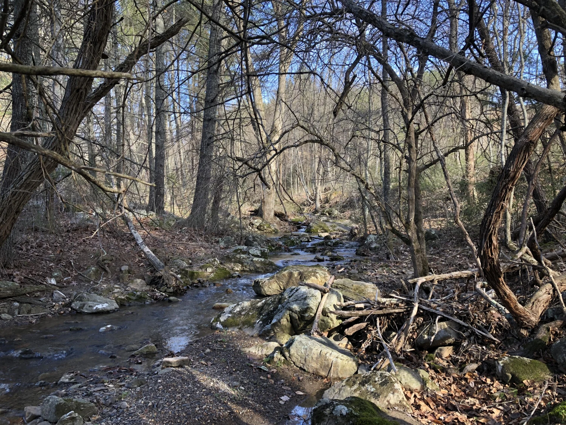 0000 Wolfe RD - Photo 19