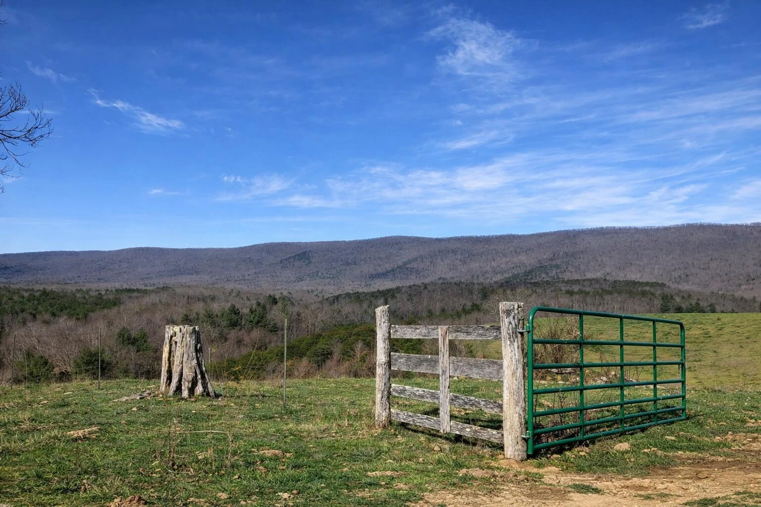 0000 Wolfe RD - Photo 3
