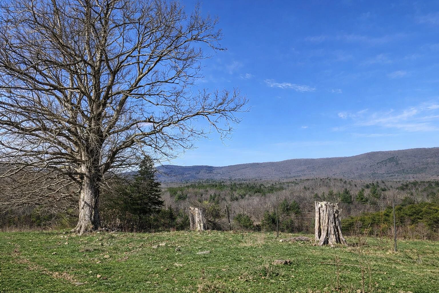 0000 Wolfe RD - Photo 5
