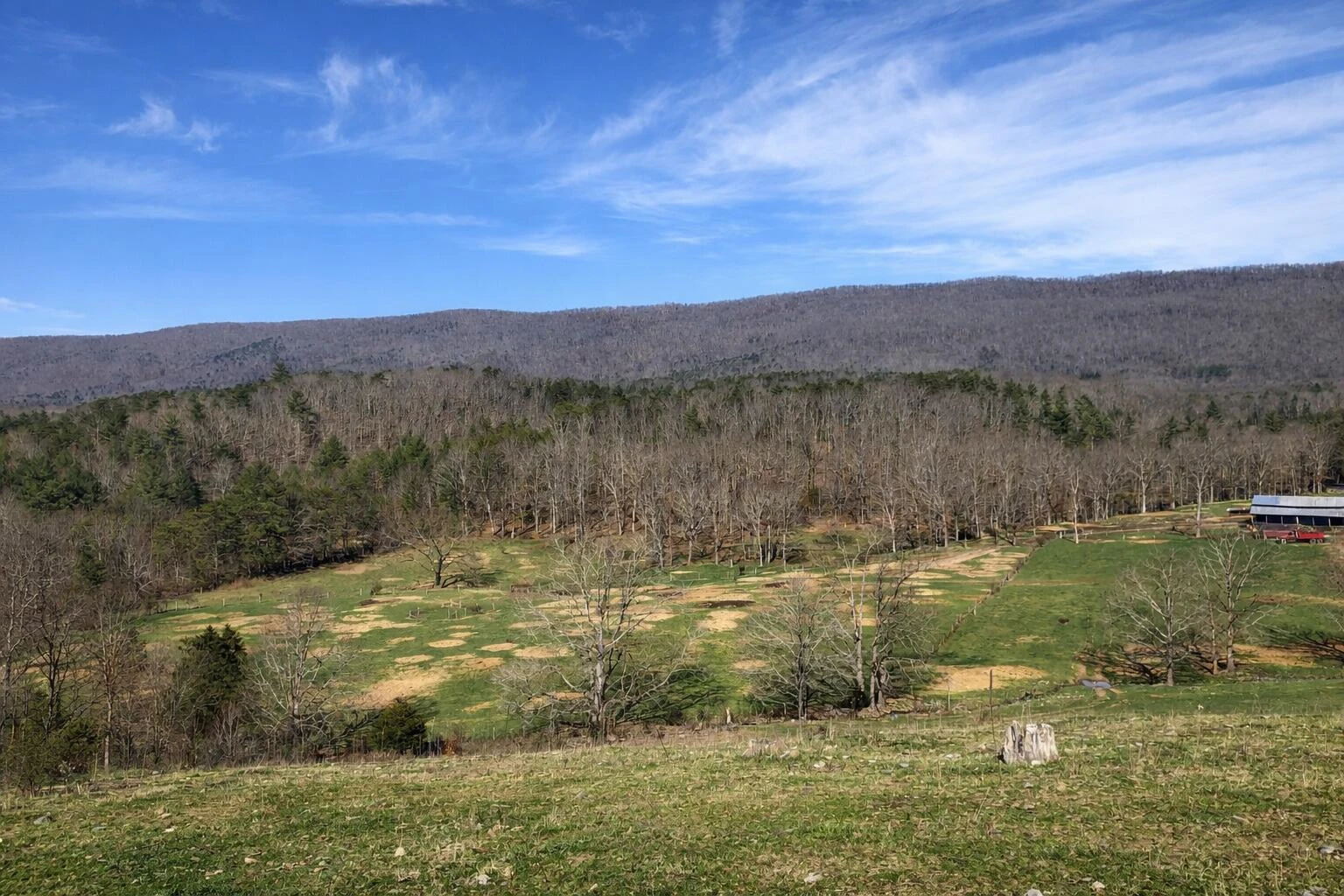 0000 Wolfe RD - Photo 6