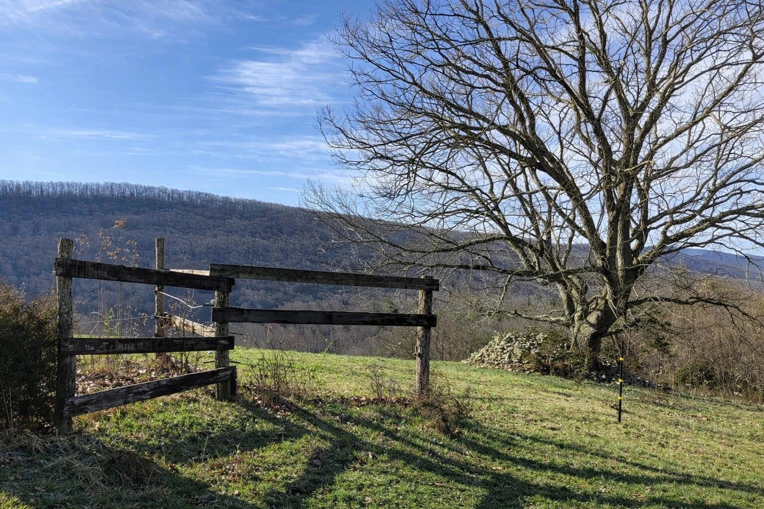 0000 Wolfe RD - Photo 8