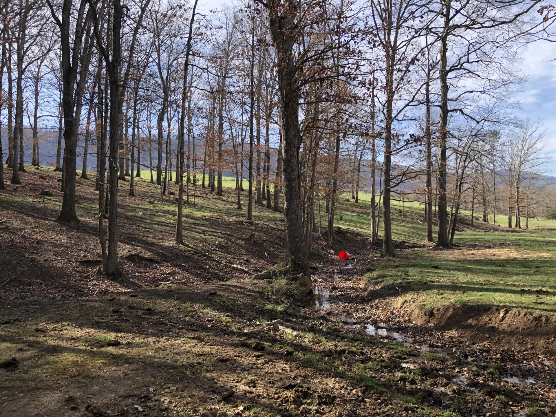 0000 Wolfe RD - Photo 9