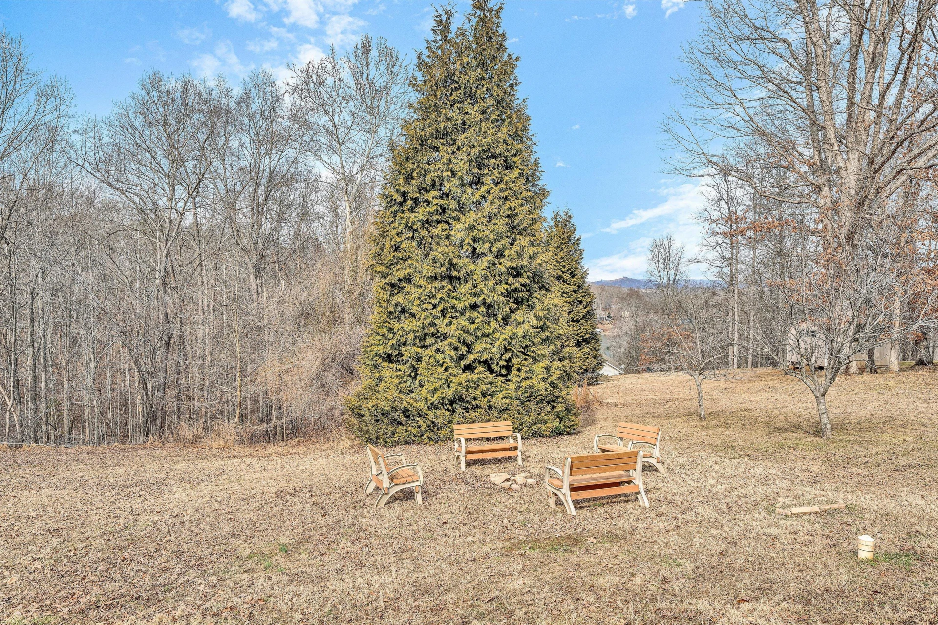 1615 Morewood RD - Photo 37