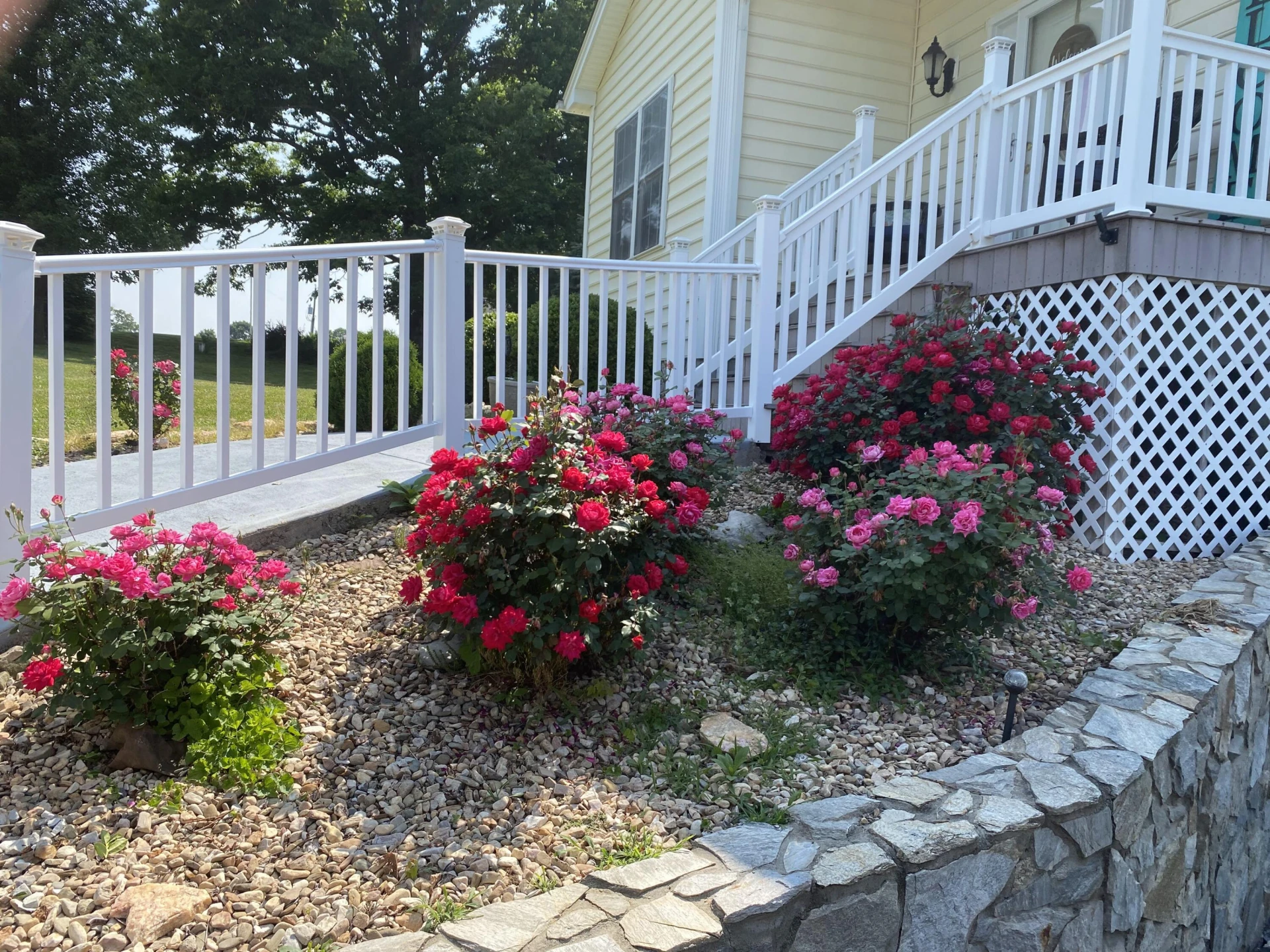 1615 Morewood RD - Photo 42