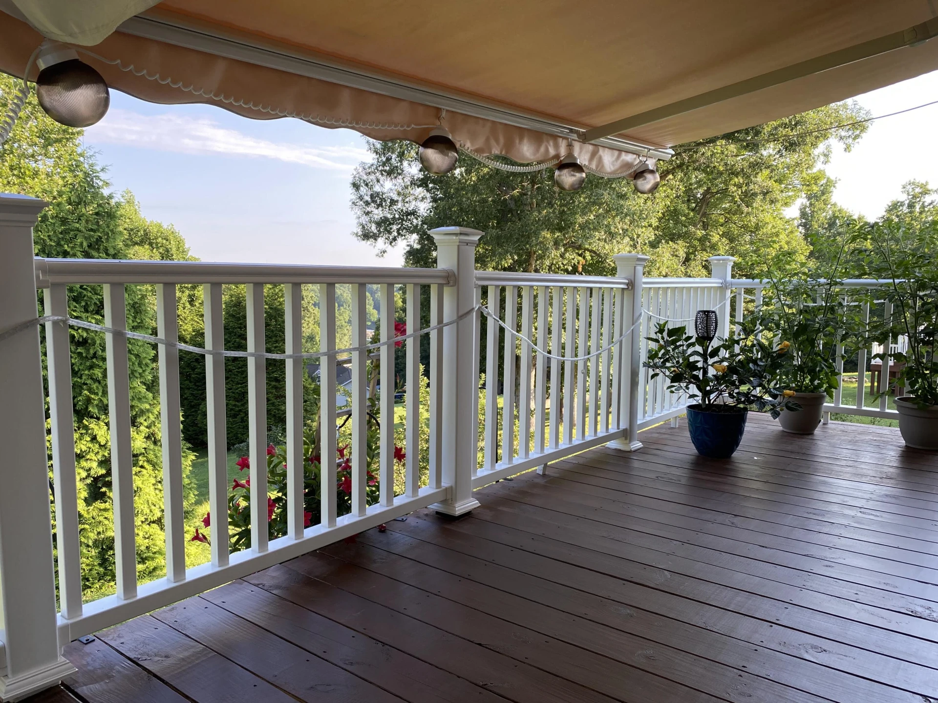 1615 Morewood RD - Photo 43