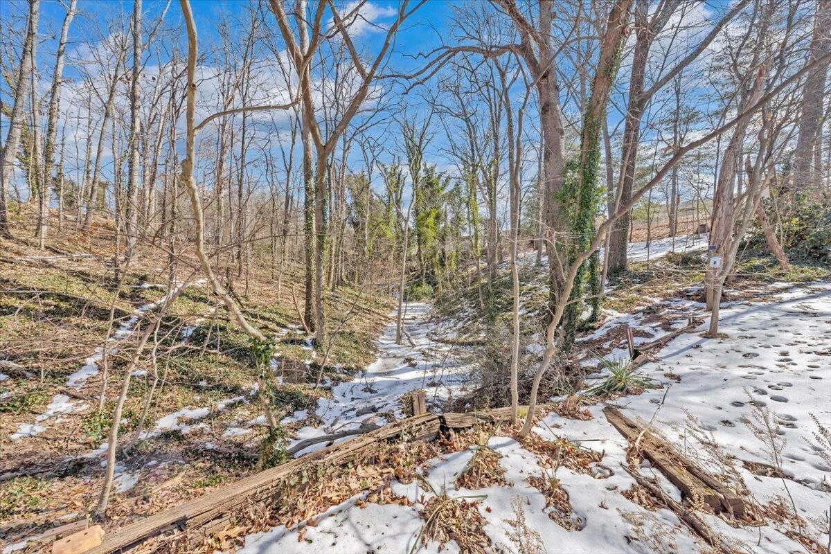 1720 Millbrook ST - Photo 39