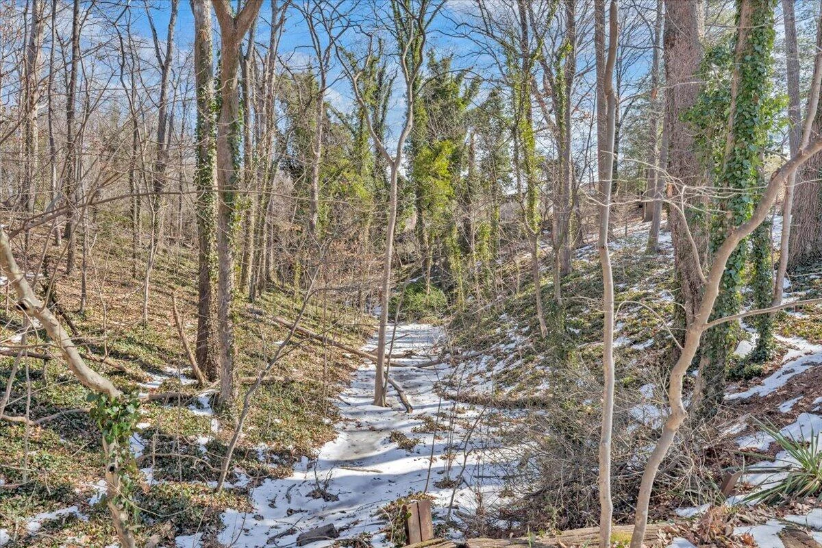 1720 Millbrook ST - Photo 40