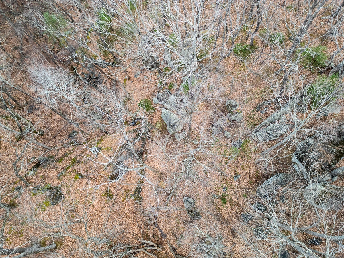 6847 Crowell Gap RD - Photo 48