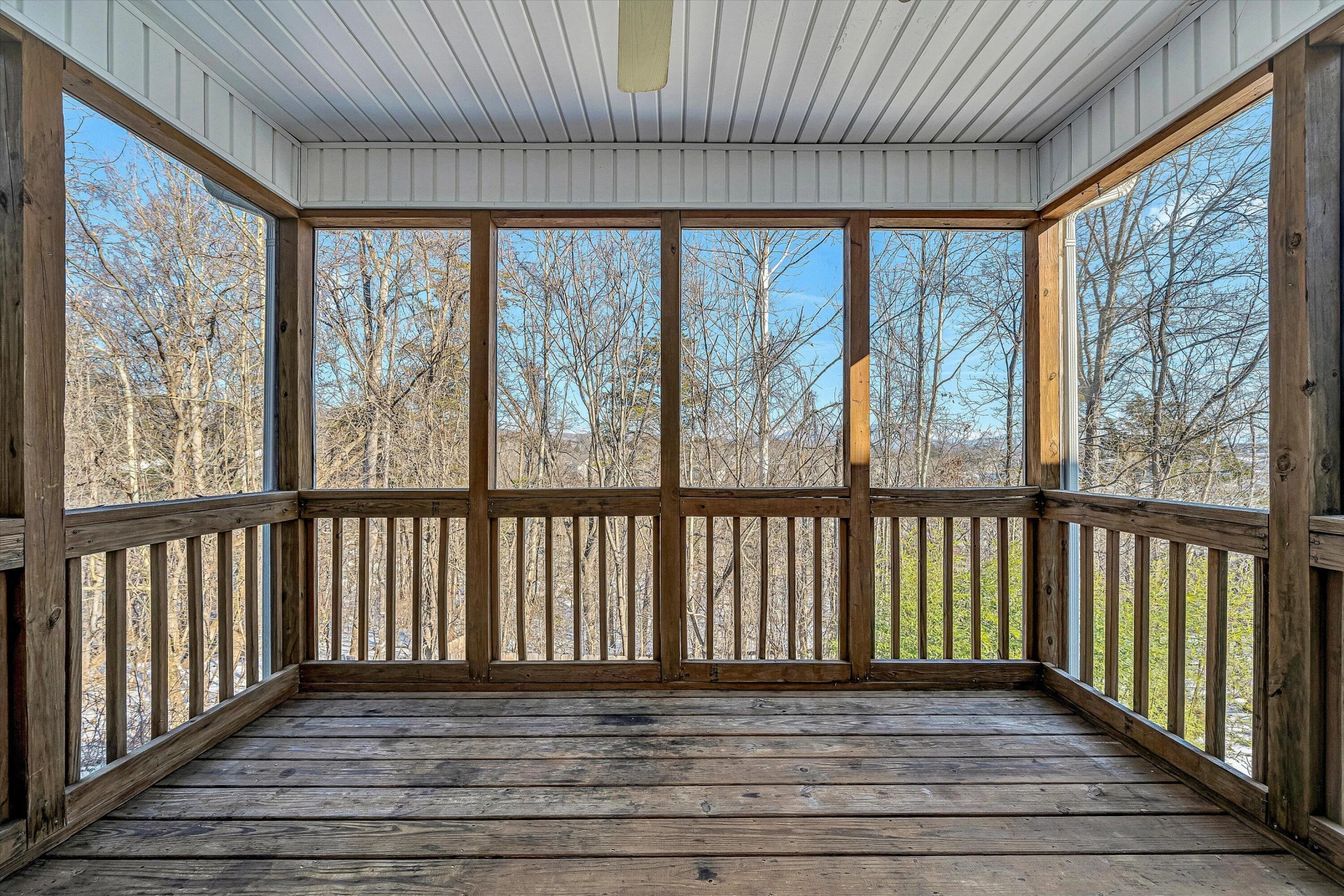 6849 Woodcreeper DR - Photo 13