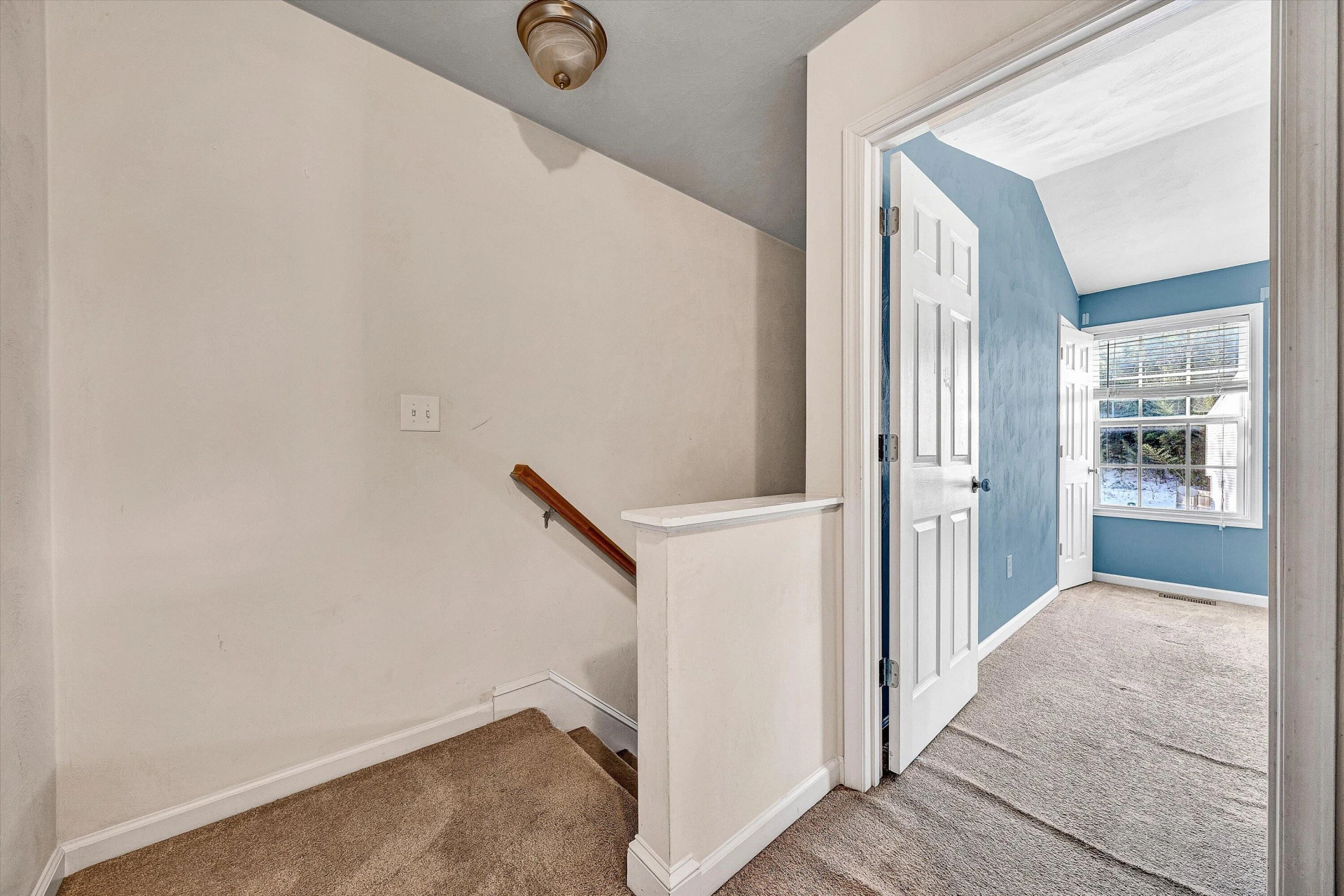 6849 Woodcreeper DR - Photo 15