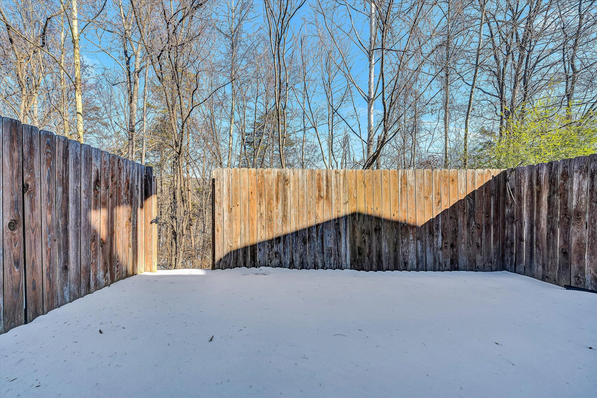 6849 Woodcreeper DR - Photo 28