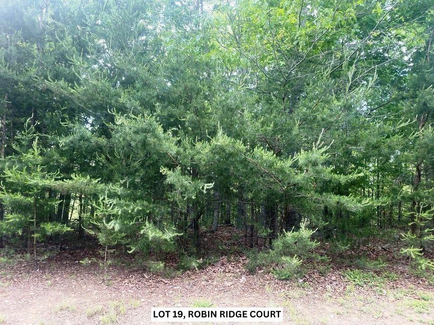 Lot 19 ROBIN RIDGE CT - Photo 2
