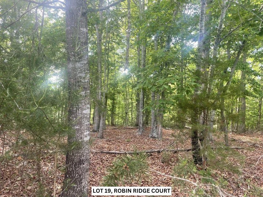 Lot 19 ROBIN RIDGE CT - Photo 3