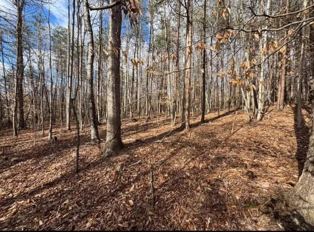 Lot 13 Tarragon WAY