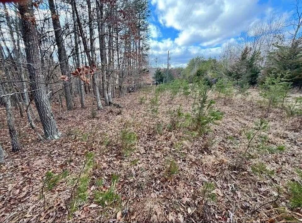 Lot 13 Tarragon WAY - Photo 2