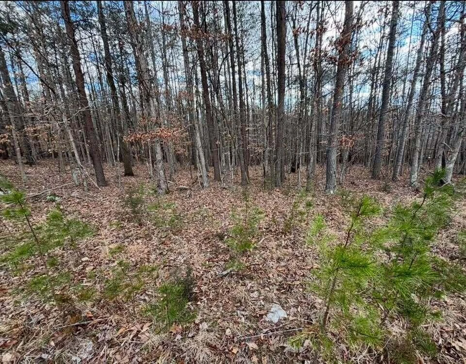 Lot 13 Tarragon WAY - Photo 3