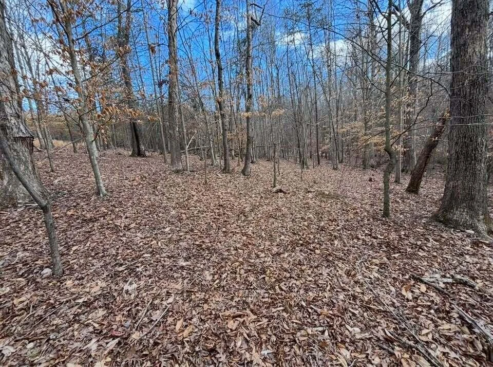 Lot 13 Tarragon WAY - Photo 4