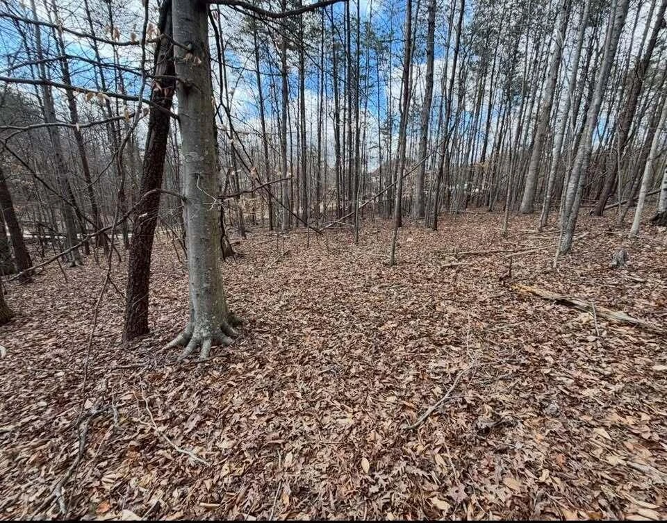 Lot 13 Tarragon WAY - Photo 6