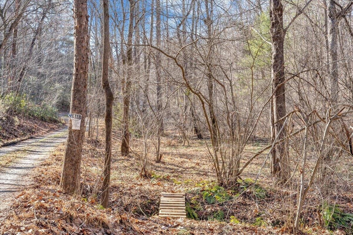 376 Bentwood LN - Photo 16