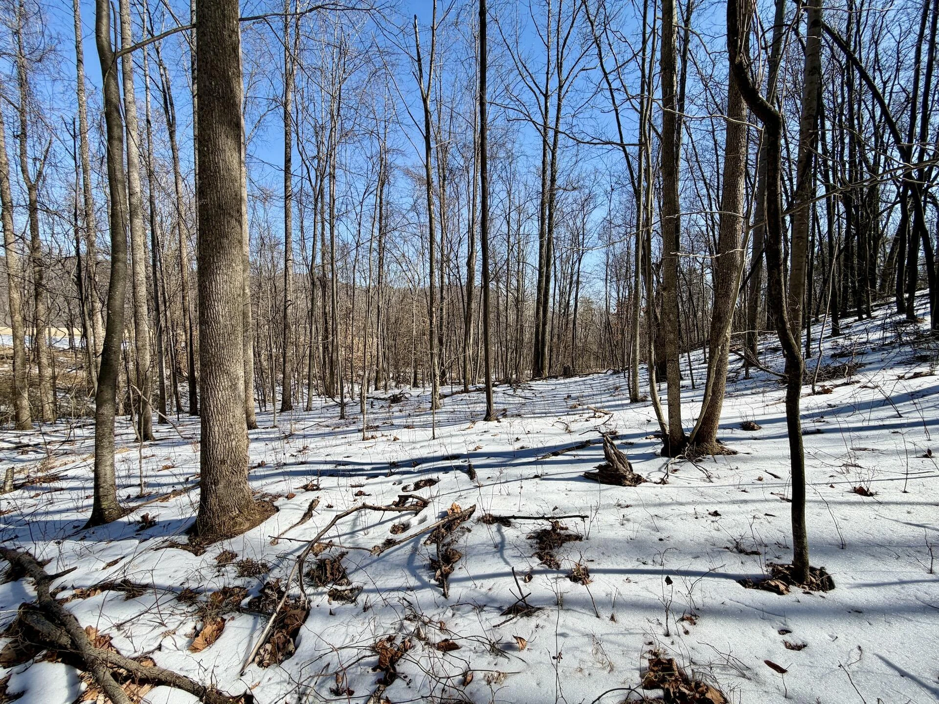 0 Stevens Chapel RD - Photo 12
