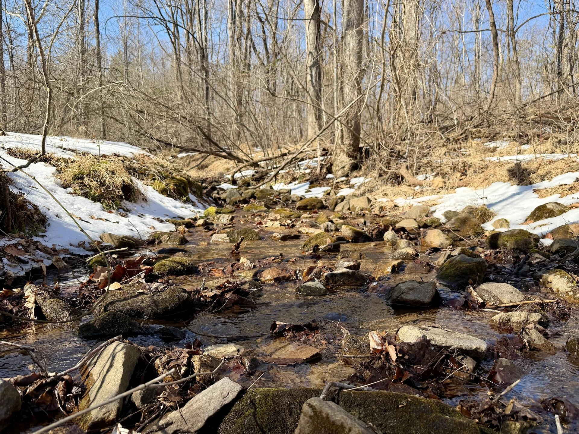 0 Stevens Chapel RD - Photo 20