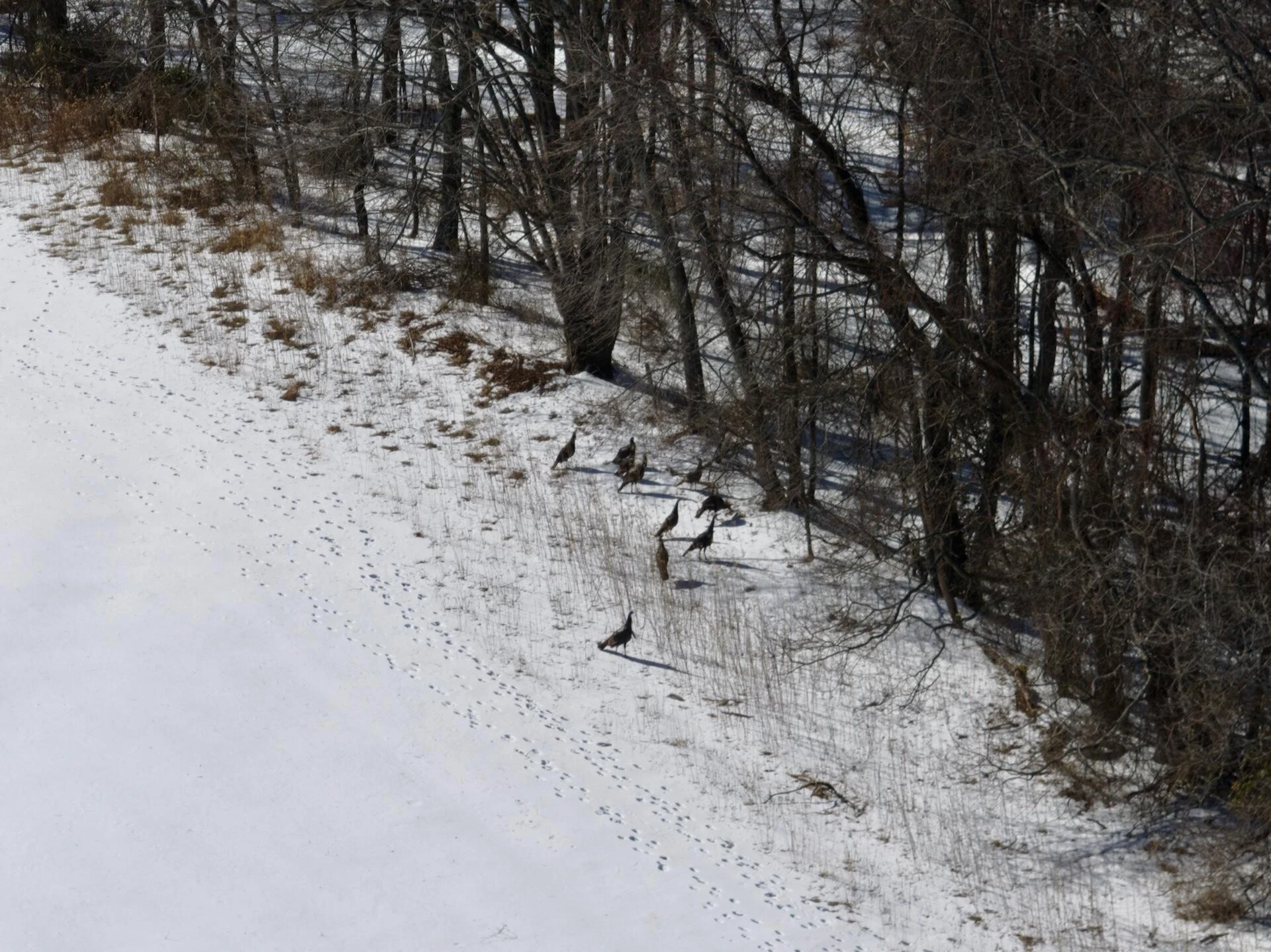 0 Stevens Chapel RD - Photo 23