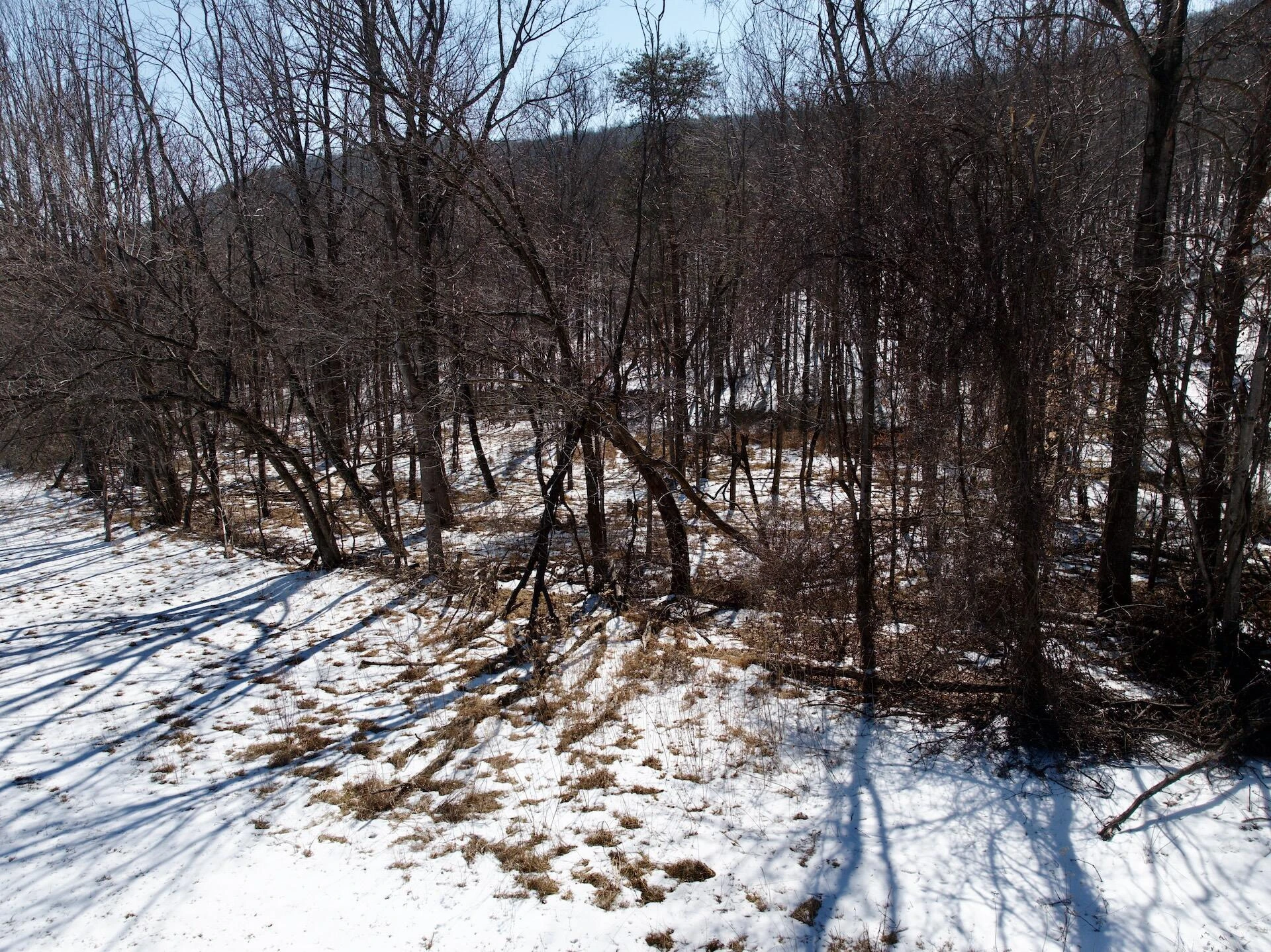 0 Stevens Chapel RD - Photo 33