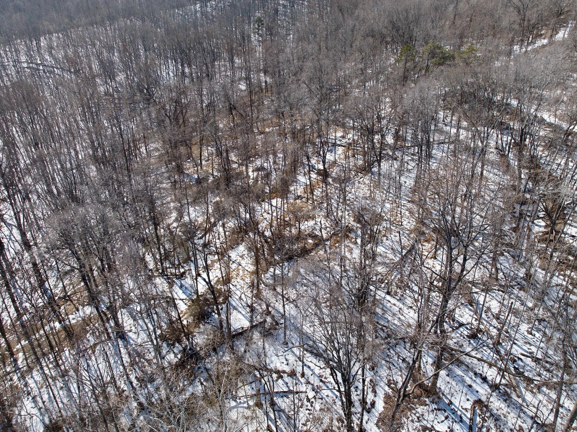 0 Stevens Chapel RD - Photo 35