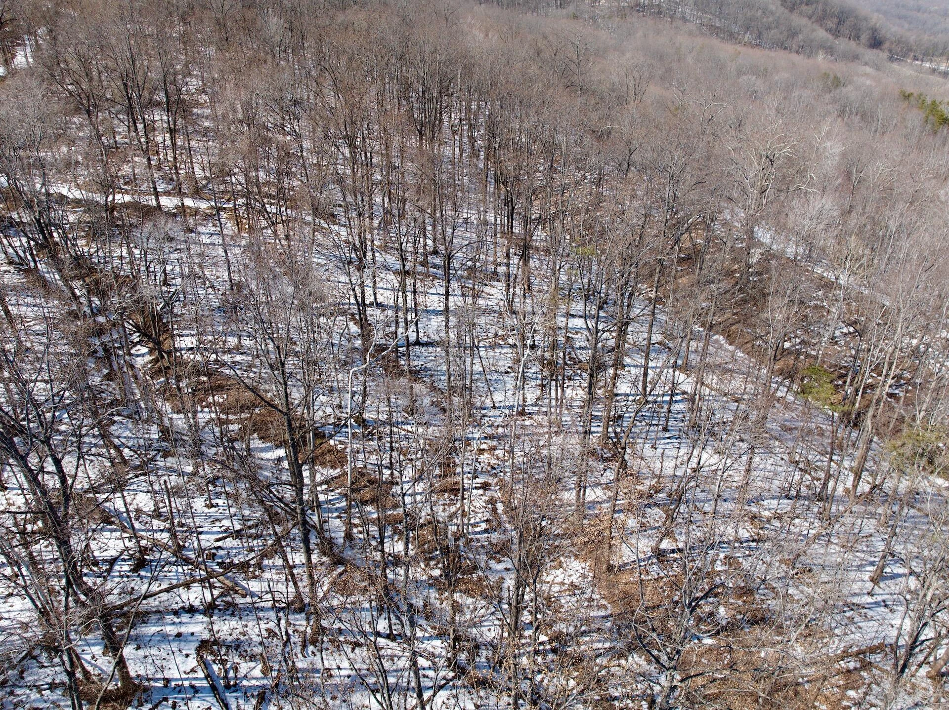 0 Stevens Chapel RD - Photo 36