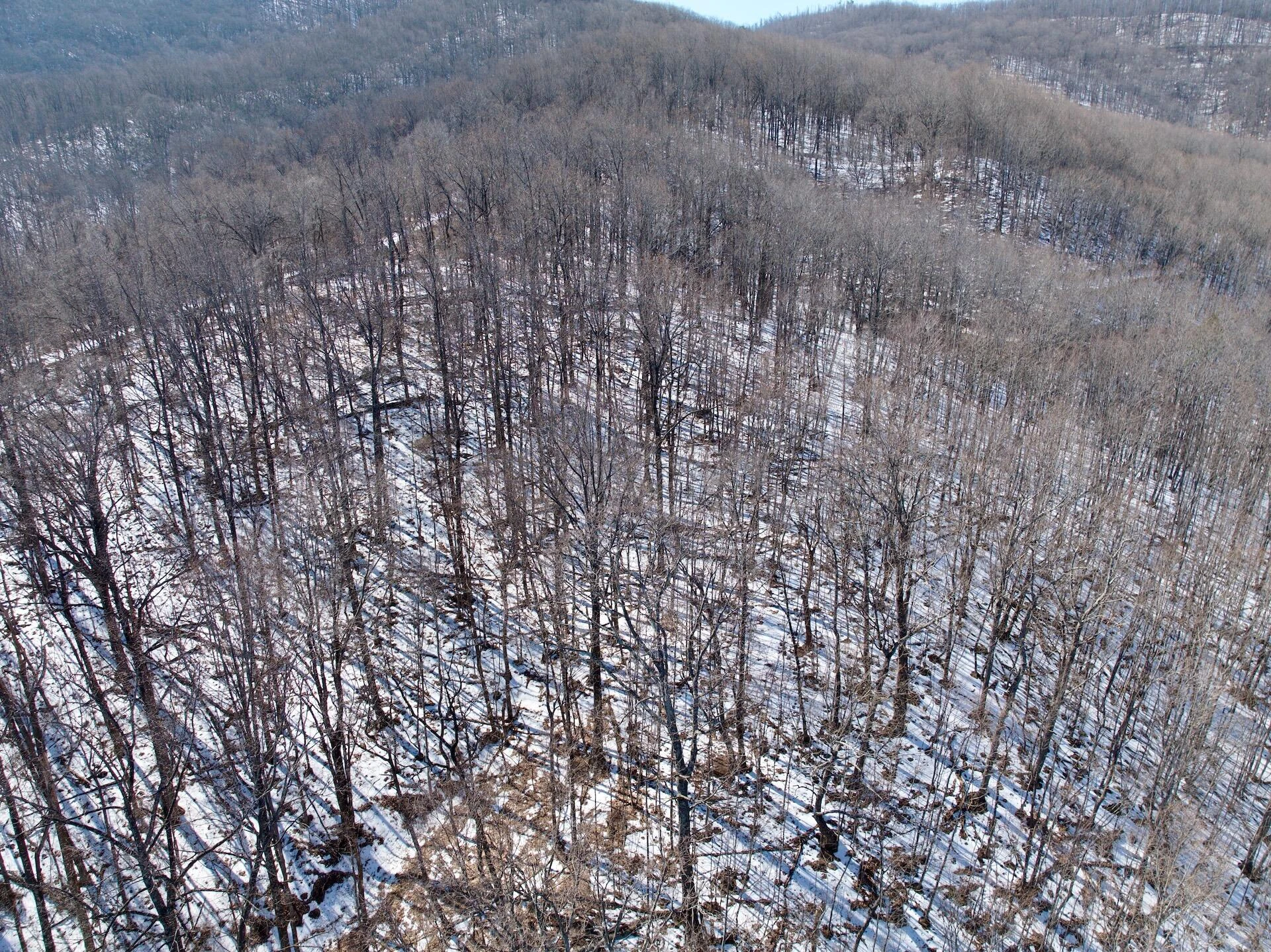 0 Stevens Chapel RD - Photo 37