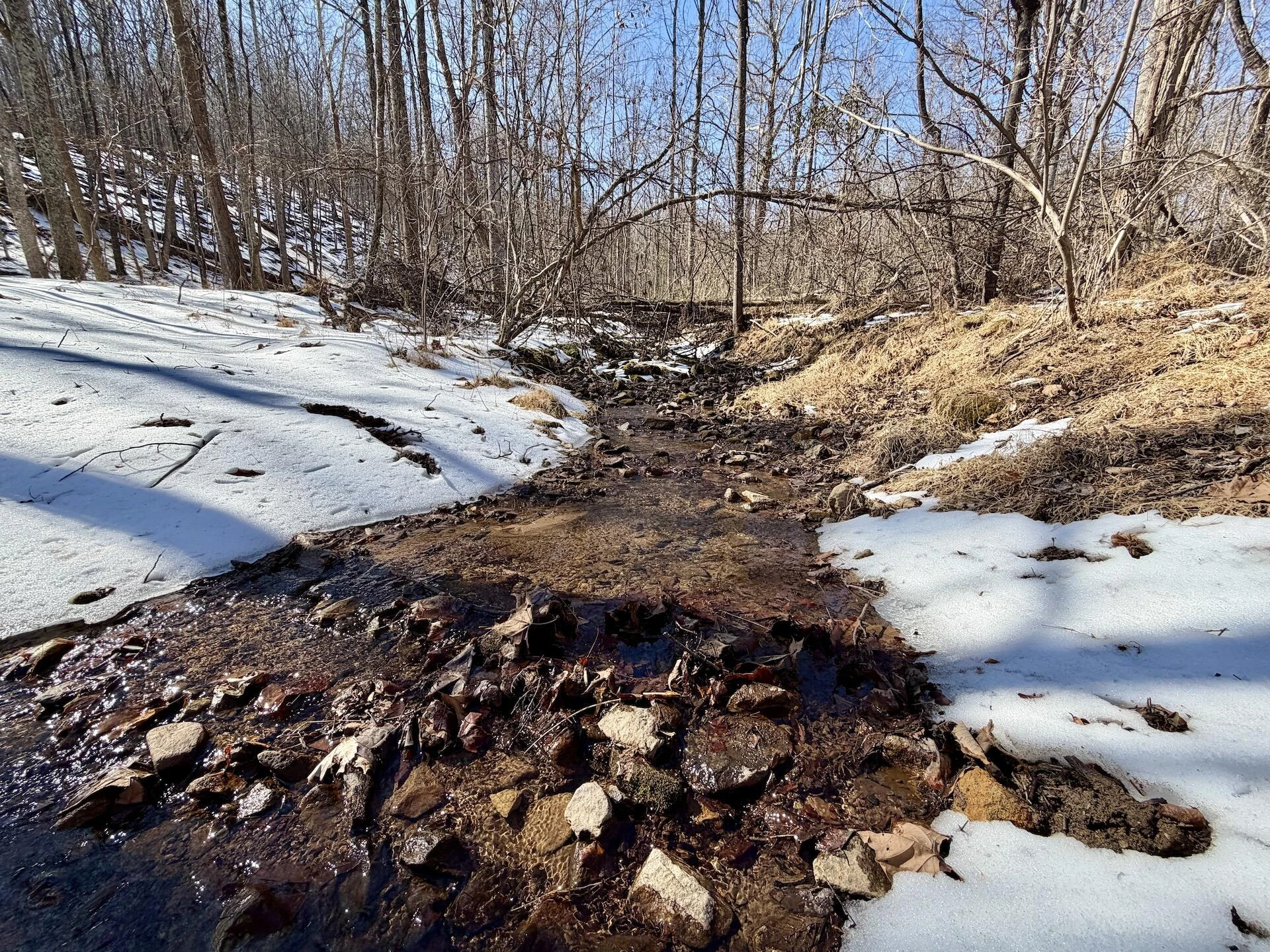 0 Stevens Chapel RD - Photo 4