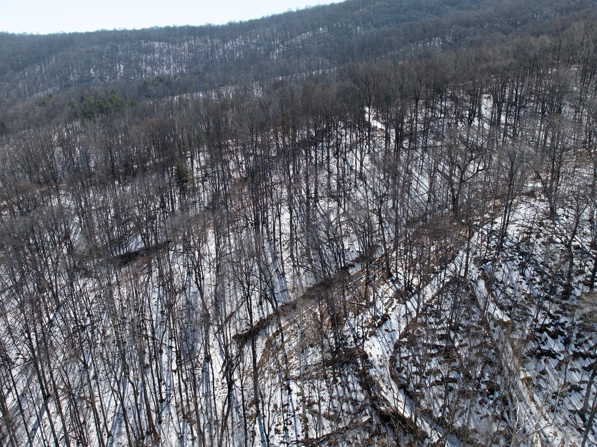 0 Stevens Chapel RD - Photo 41
