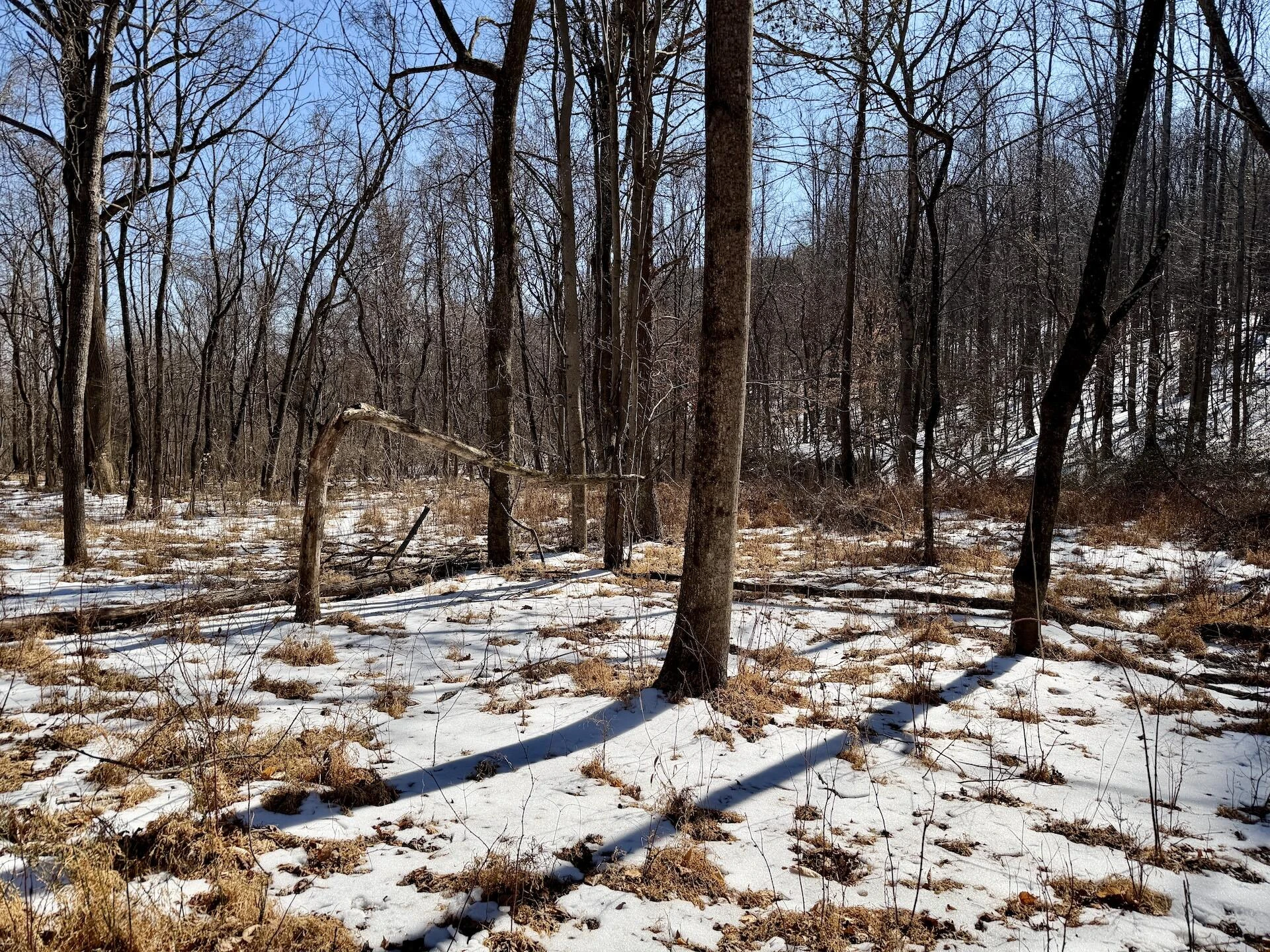 0 Stevens Chapel RD - Photo 53