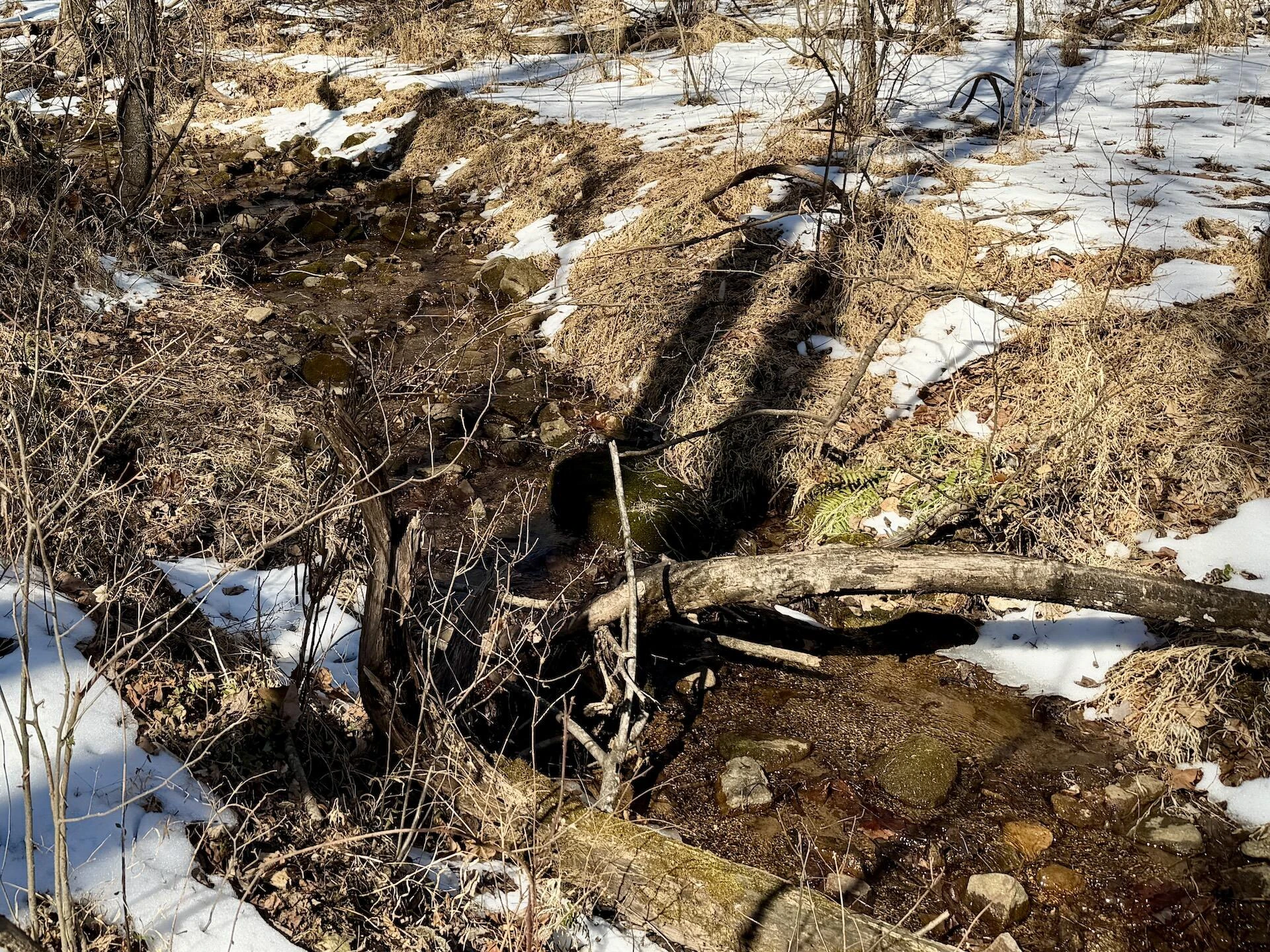 0 Stevens Chapel RD - Photo 54