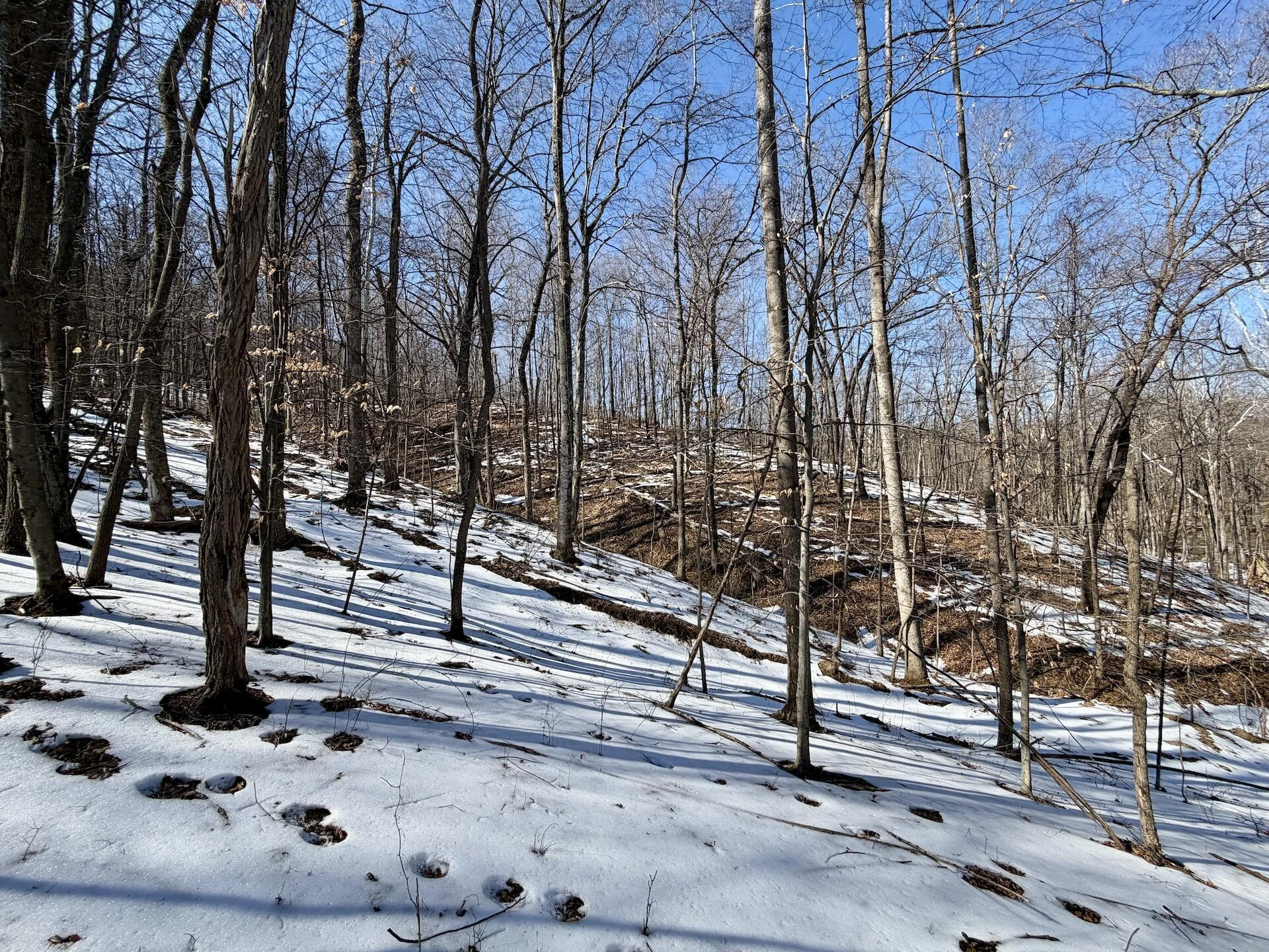0 Stevens Chapel RD - Photo 56