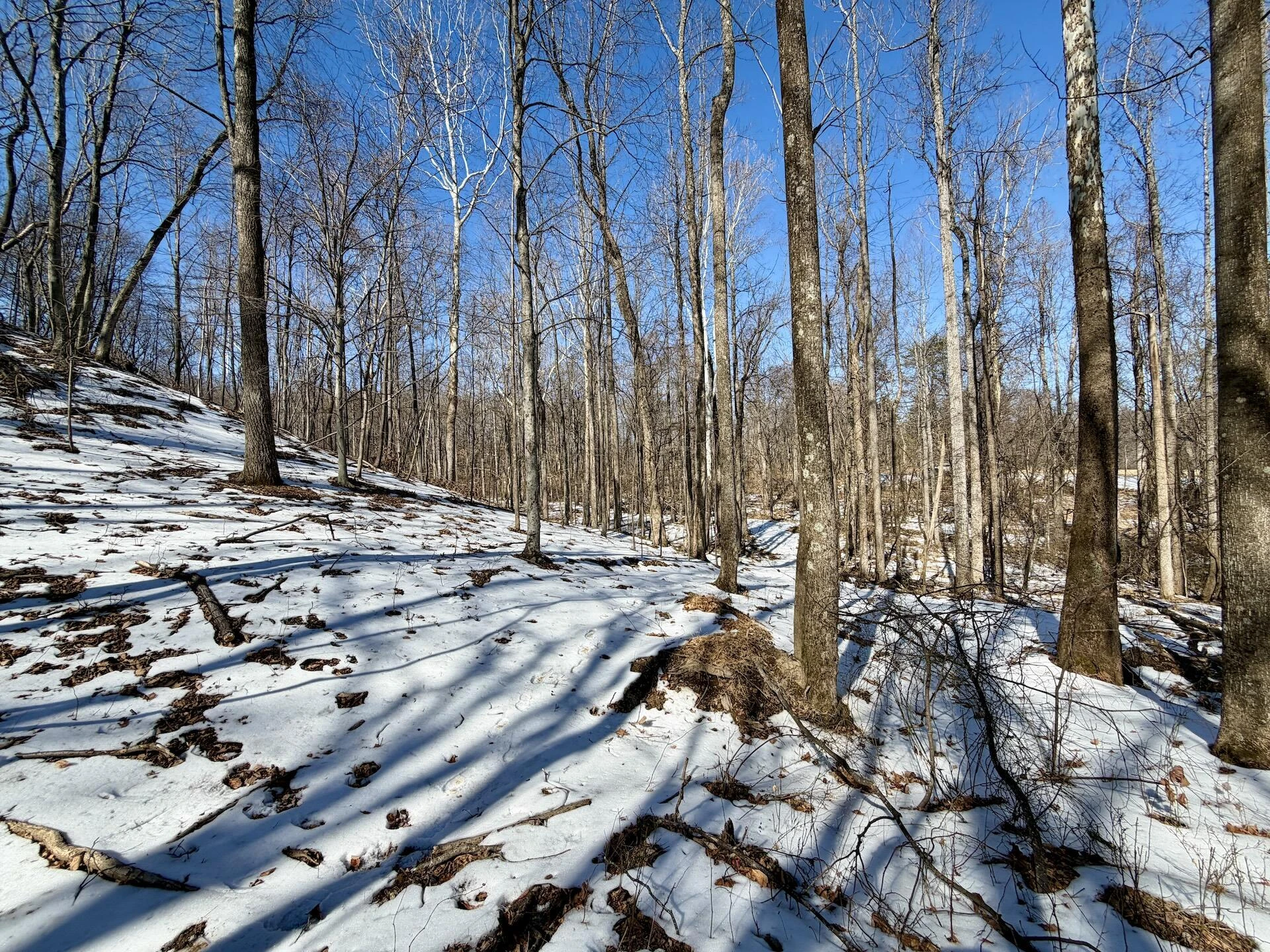 0 Stevens Chapel RD - Photo 57