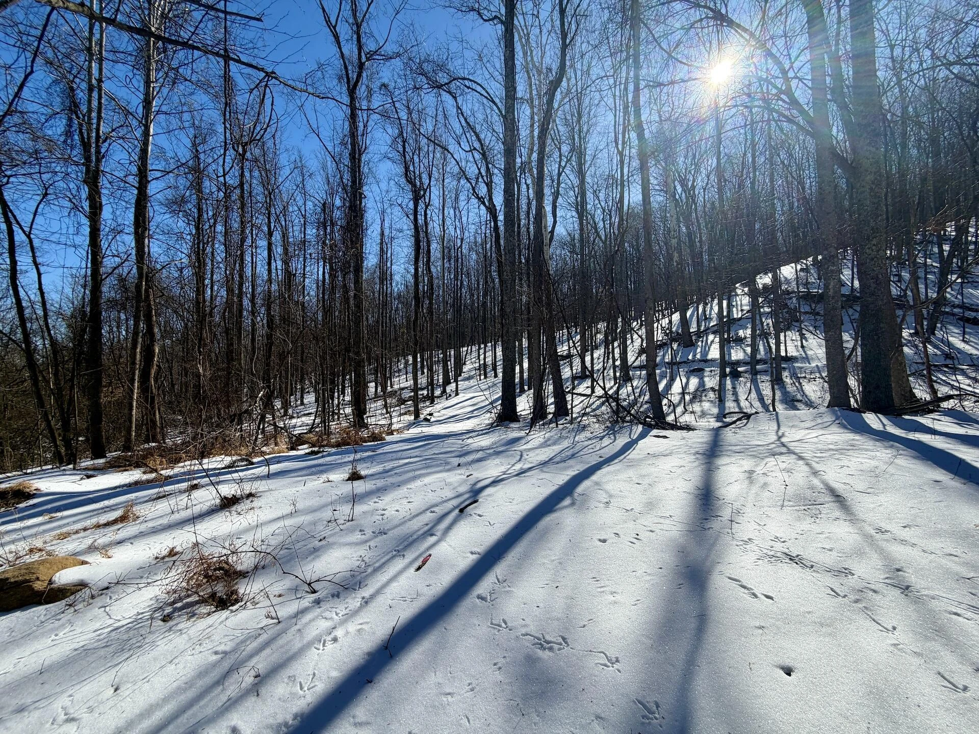 0 Stevens Chapel RD - Photo 59