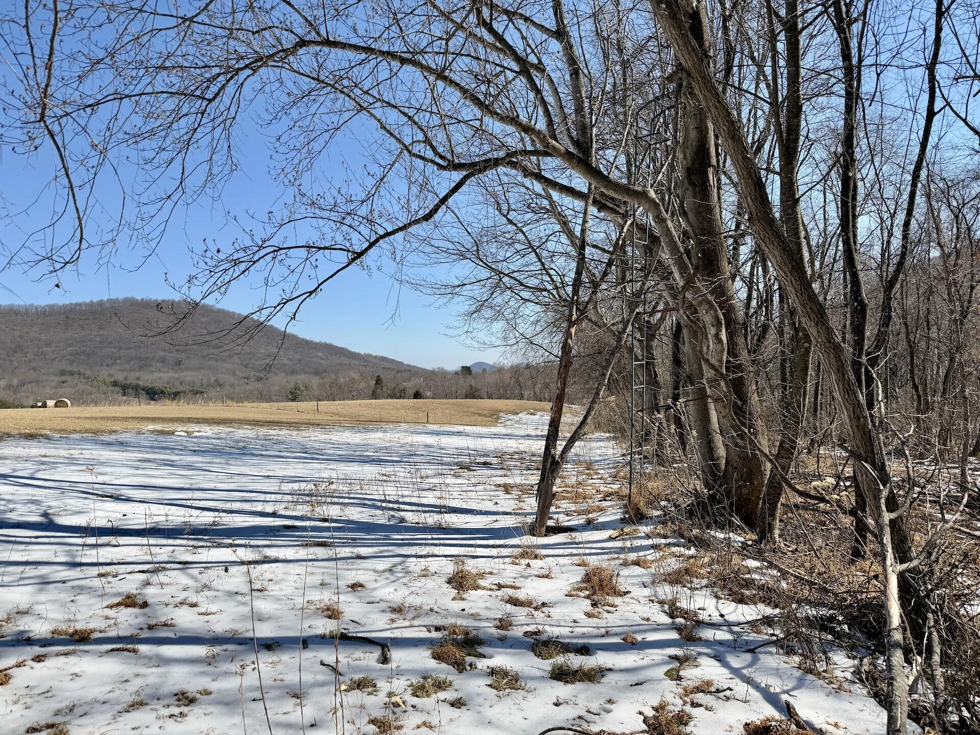 0 Stevens Chapel RD - Photo 9