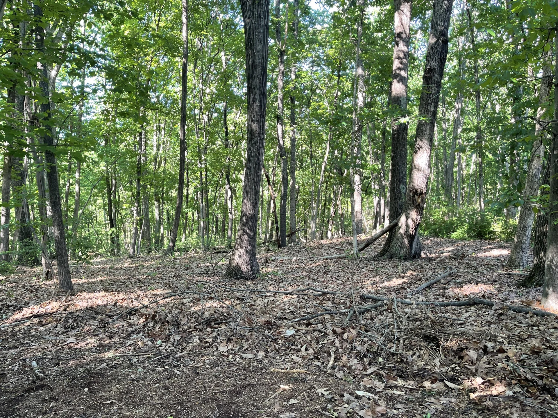 1358 Homeplace RD - Photo 49