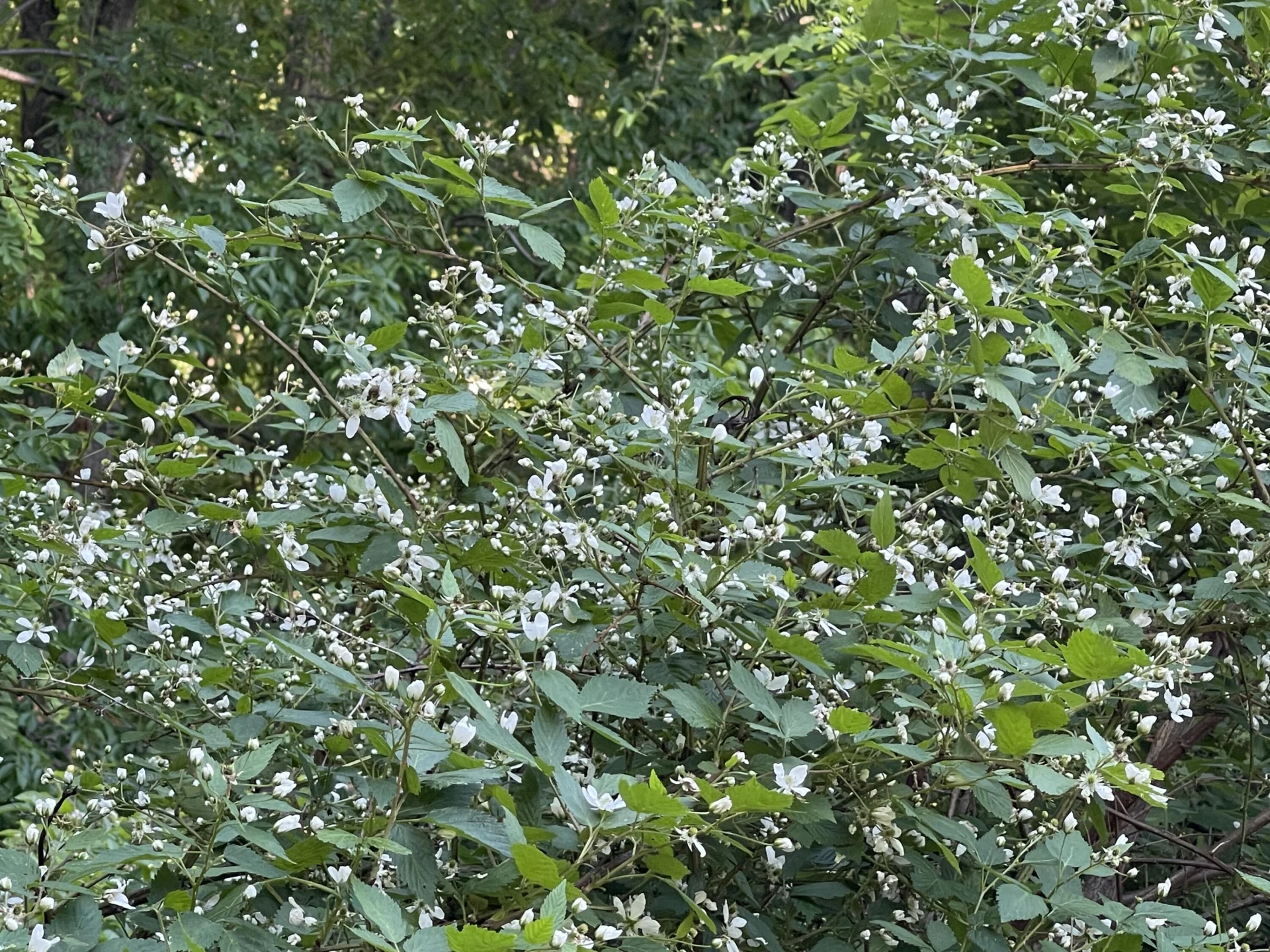 1358 Homeplace RD - Photo 55