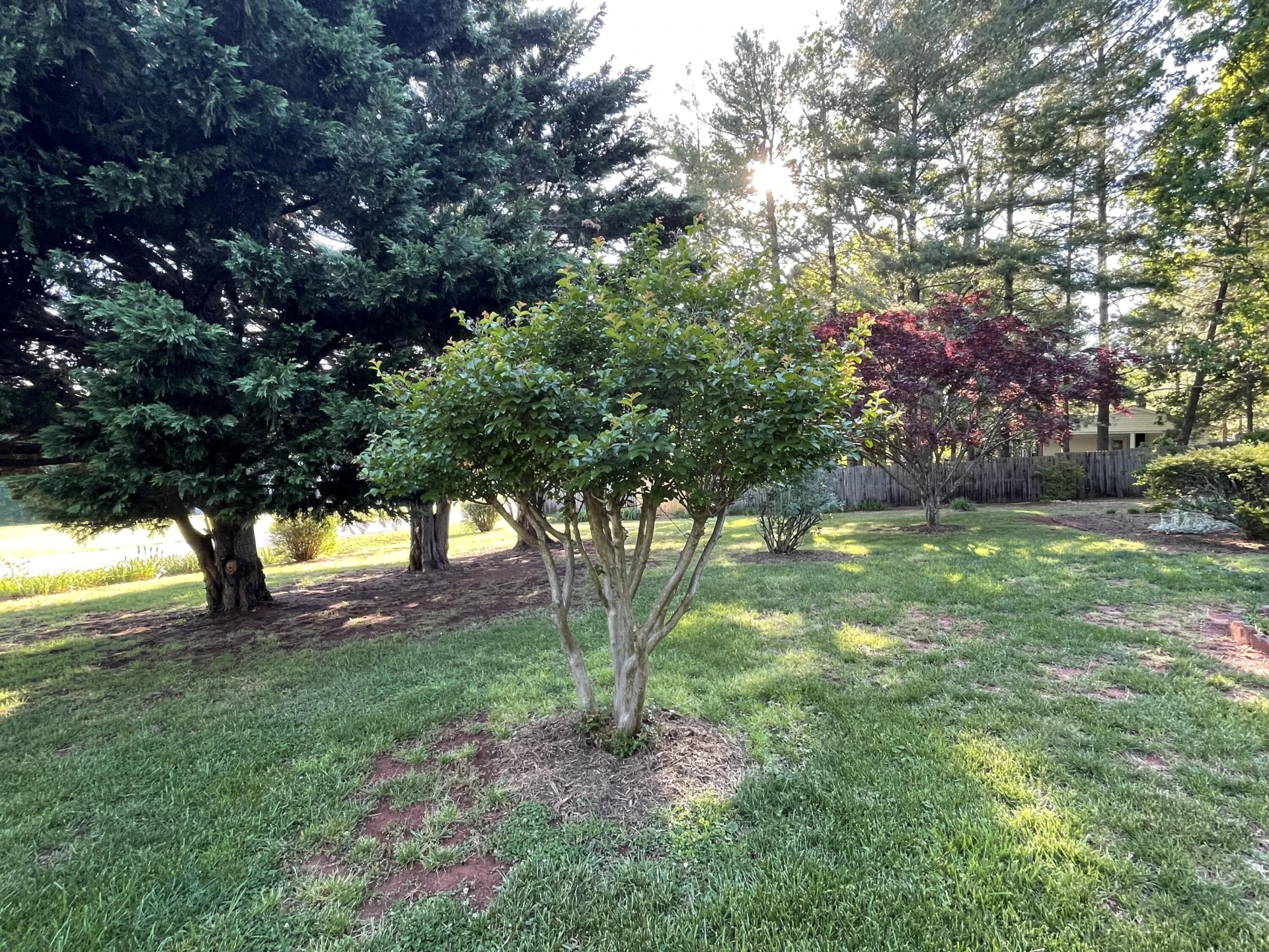 1358 Homeplace RD - Photo 65