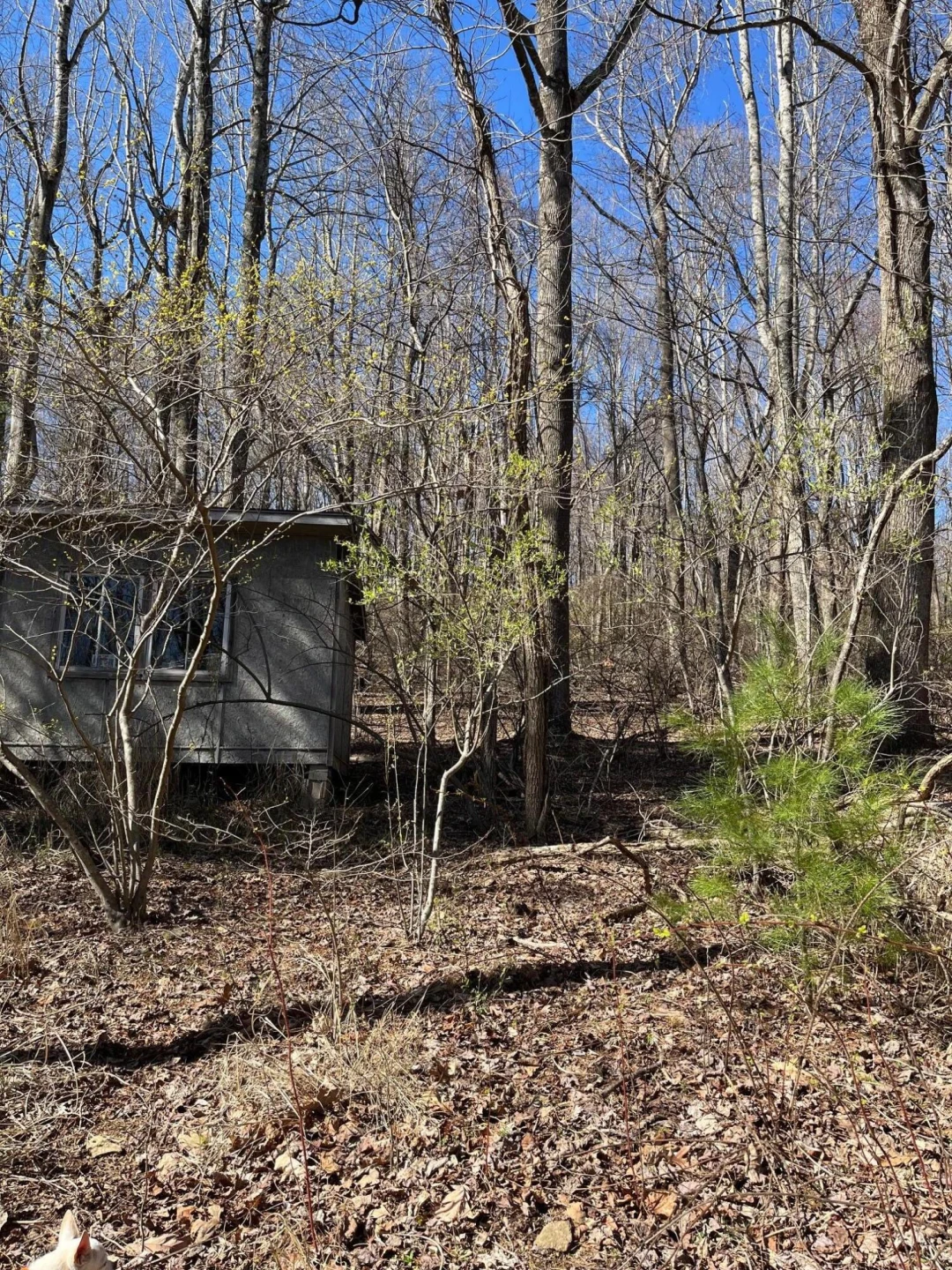 9737 Pine Forest RD NE - Photo 25